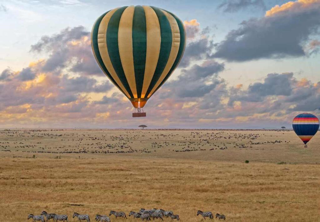 Balloon Safaris