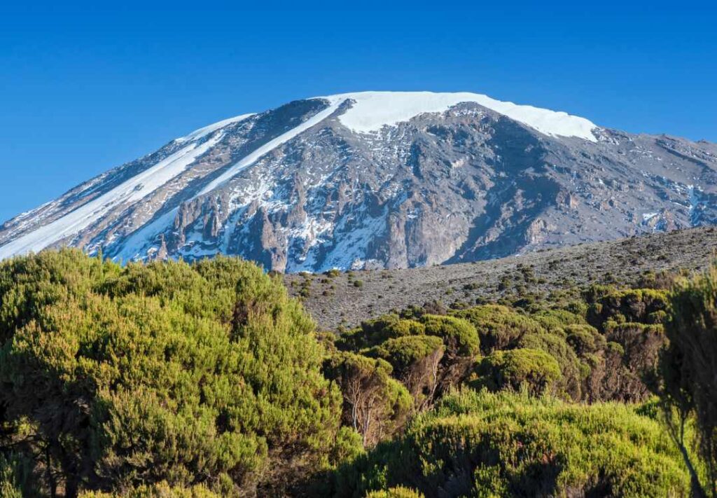 7-Day Umbwe Route Kilimanjaro Climb
