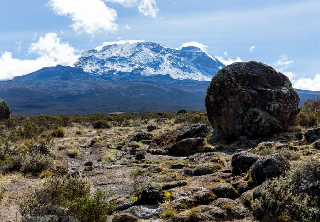 7-Day Rongai Route Kilimanjaro Climb
