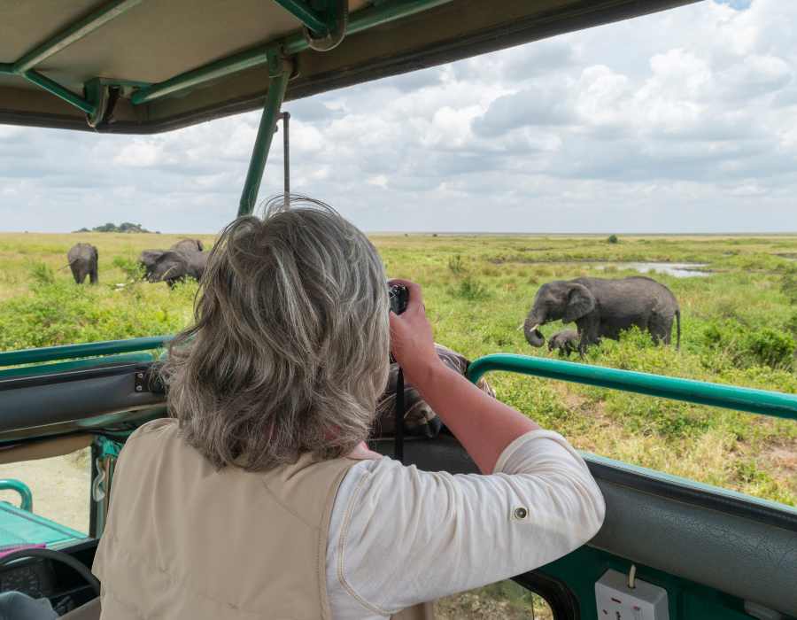 How Much Does a Tanzania Safari Cost?